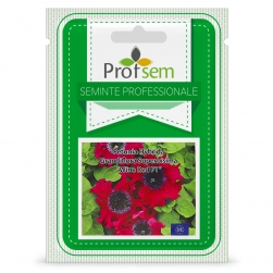 Image-product